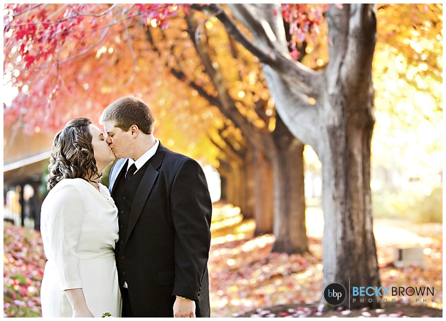 Chicago City Hall Elopement : Cori + Jake 10/24/14