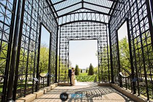 15-cancer-survivors-garden-chicago-wedding