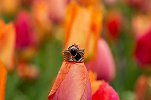 24-elopement-ring-details